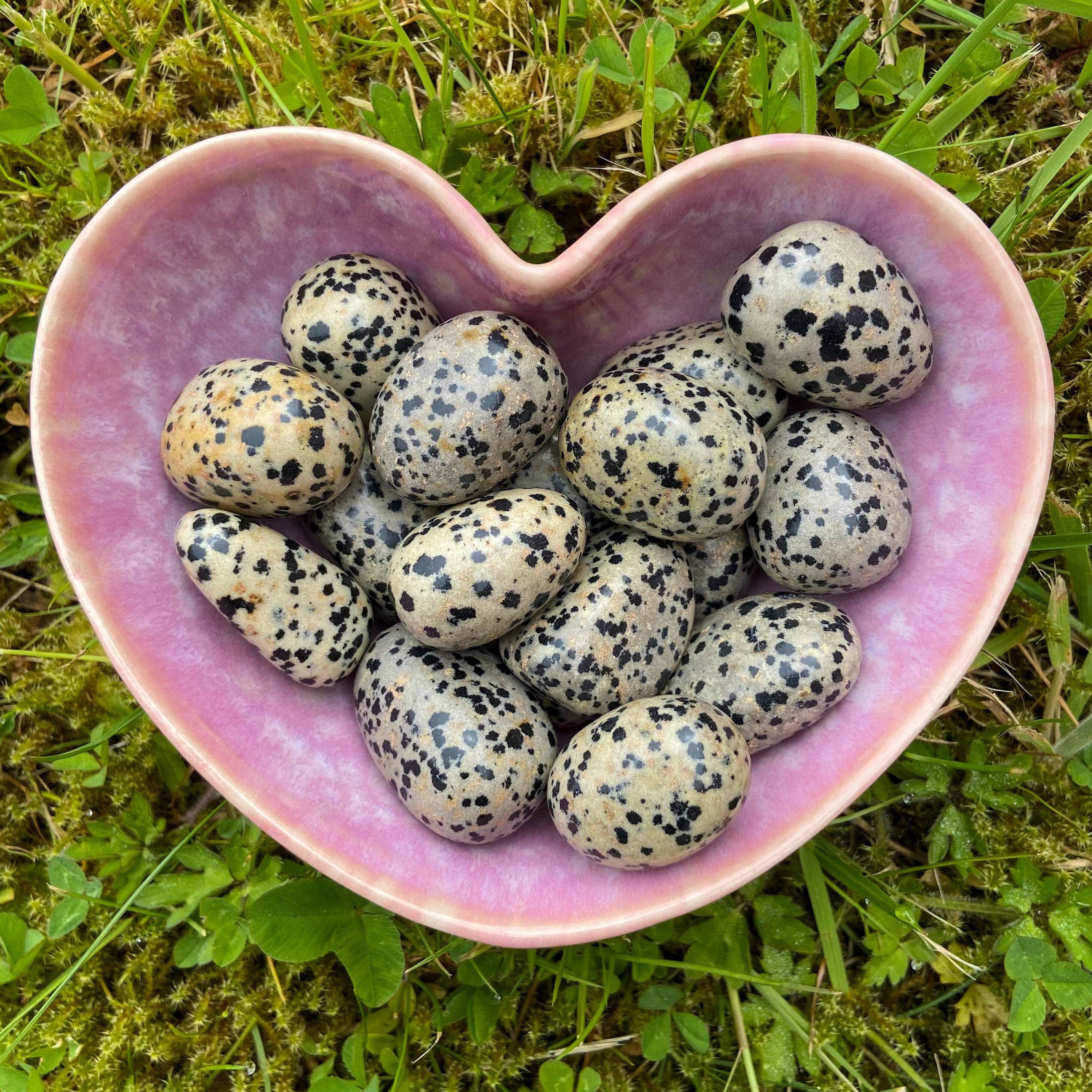 Dalmation Jasper Tumblestone - high energy, motivation, balances yin/…