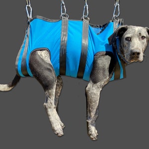 Dog grooming harness sling sale