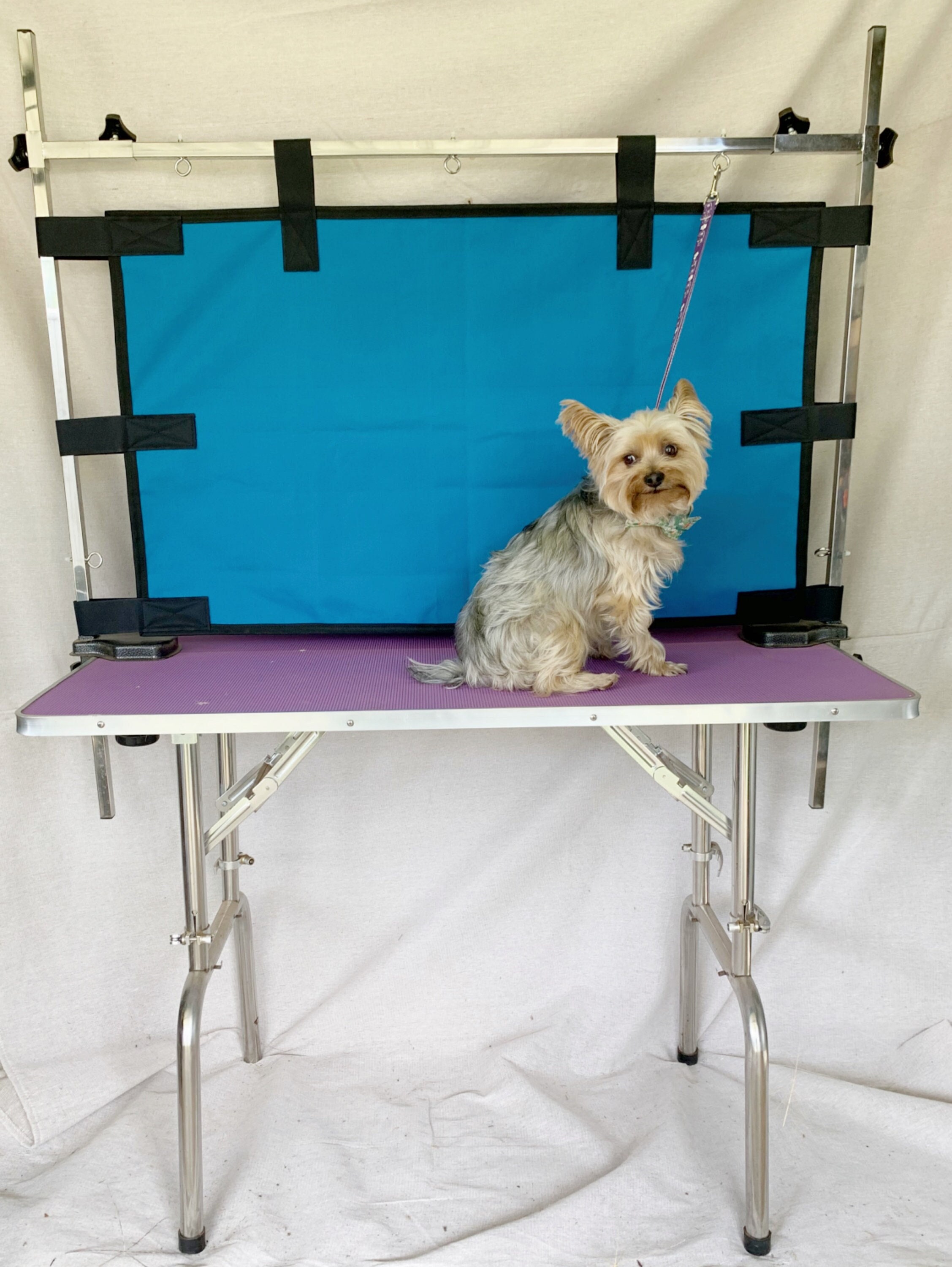 Dog grooming apparel australia cheap
