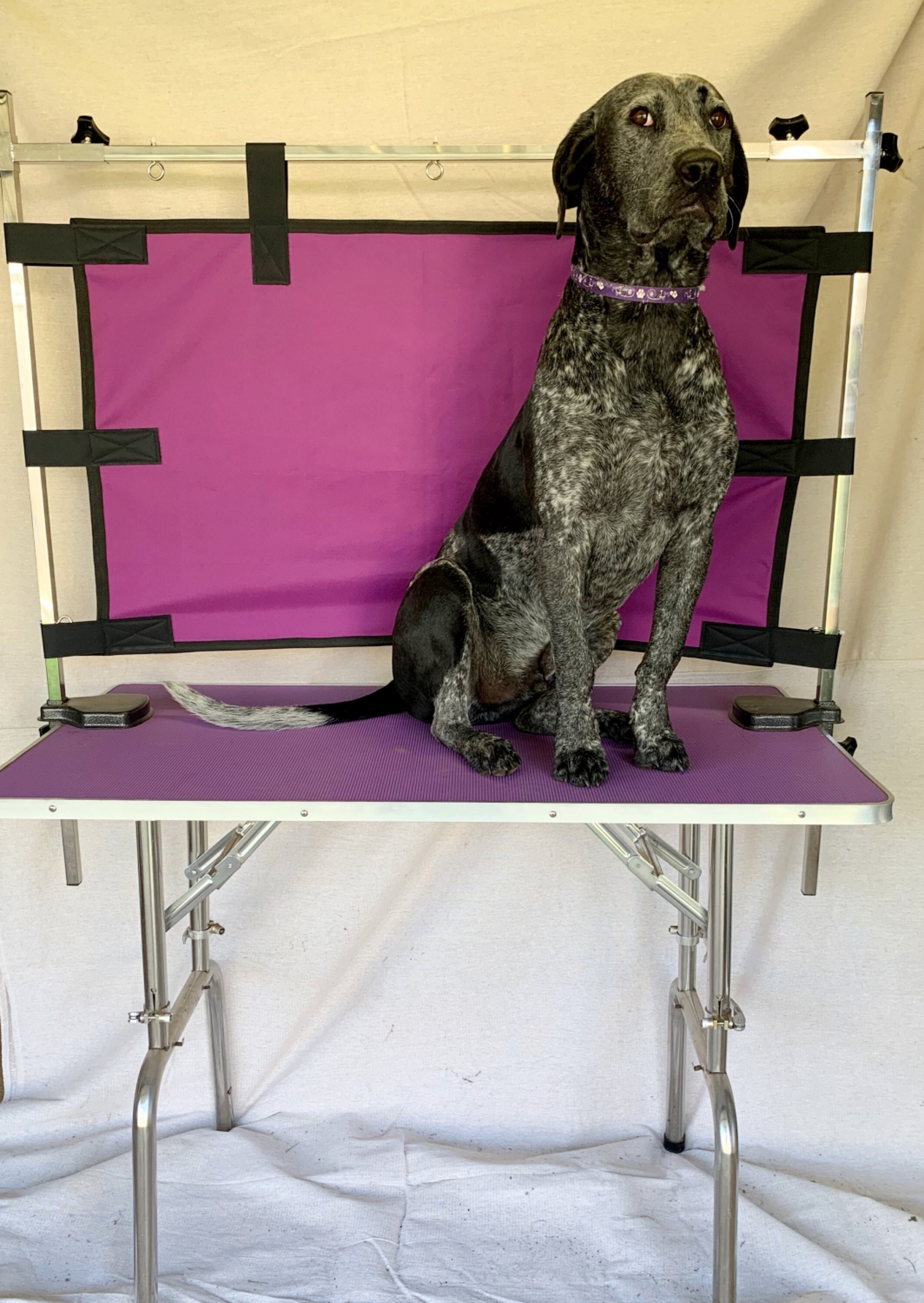 Dog Grooming Table Divider Pet Grooming Divider Table Divider Dog Supplies Grooming Salon Equipment Etsy