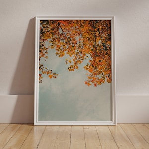 Herbst Fotografie, Natur Fine Art Fotografie Wandkunst, Herbst Laub Kunst, Baum Druck, Oktober Wandkunst, Bauernhaus Dekor