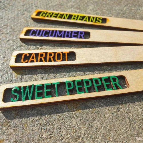 Vegetable Garden markers, Vegetable Stakes, Seed, Herb,  Custom Gardening gift, Plot Allotment, Veggie marker, veg marker