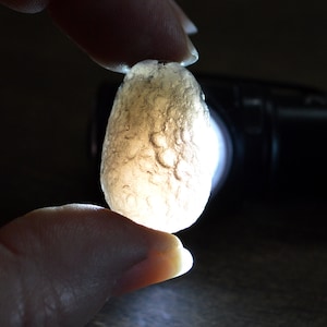 Saffordite / Arizona Tektite / Cintamani - Rare Translucent 10.3 gm Stone