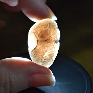 Saffordite / Arizona Tektite / Cintamani - Rare Translucent 10 gm Stone