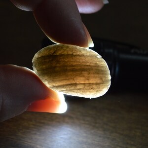 Saffordite / Arizona Tektite / Cintamani - Rare Translucent 10.3 gm Banded Stone