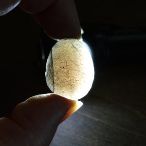 Saffordite / Arizona Tektite / Cintamani - Rare Translucent 10 gm Stone