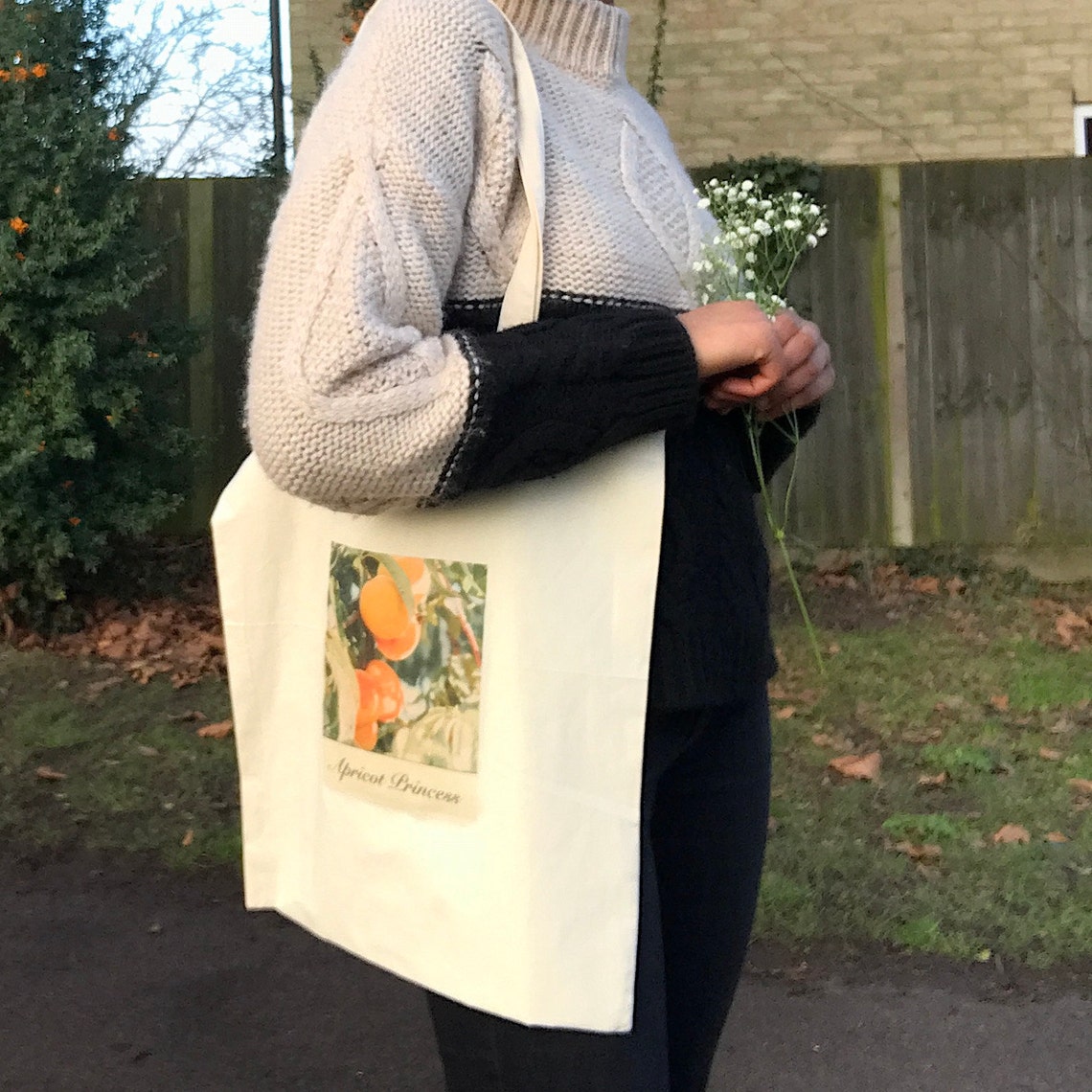 rex orange county apricot princess merch