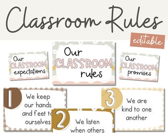 Classroom Rules Posters and Classroom Management Slips | Daisy Gingham Neutral Classroom Decor | Editable