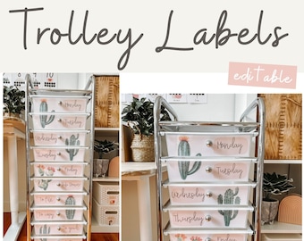 CACTUS Teacher Rolling Cart Drawer Labels | Editable | Cactus Classroom Decor
