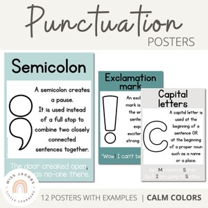 CALM COLORS Punctuation Posters | English Posters | Modern Rainbow Classroom Decor