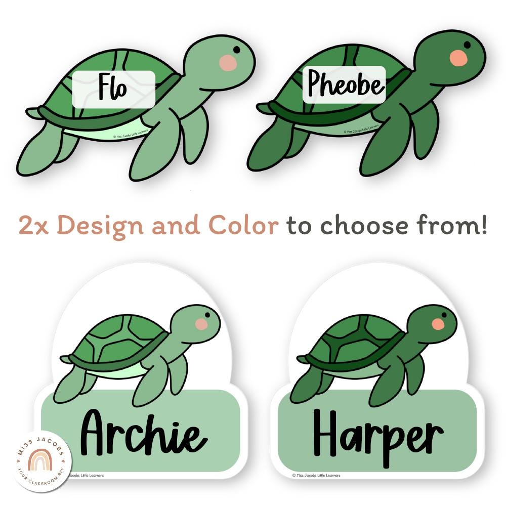 Turtle Display Classroom Turtle Door Display Set, Editable Welcome Door Signs + Student Name ...