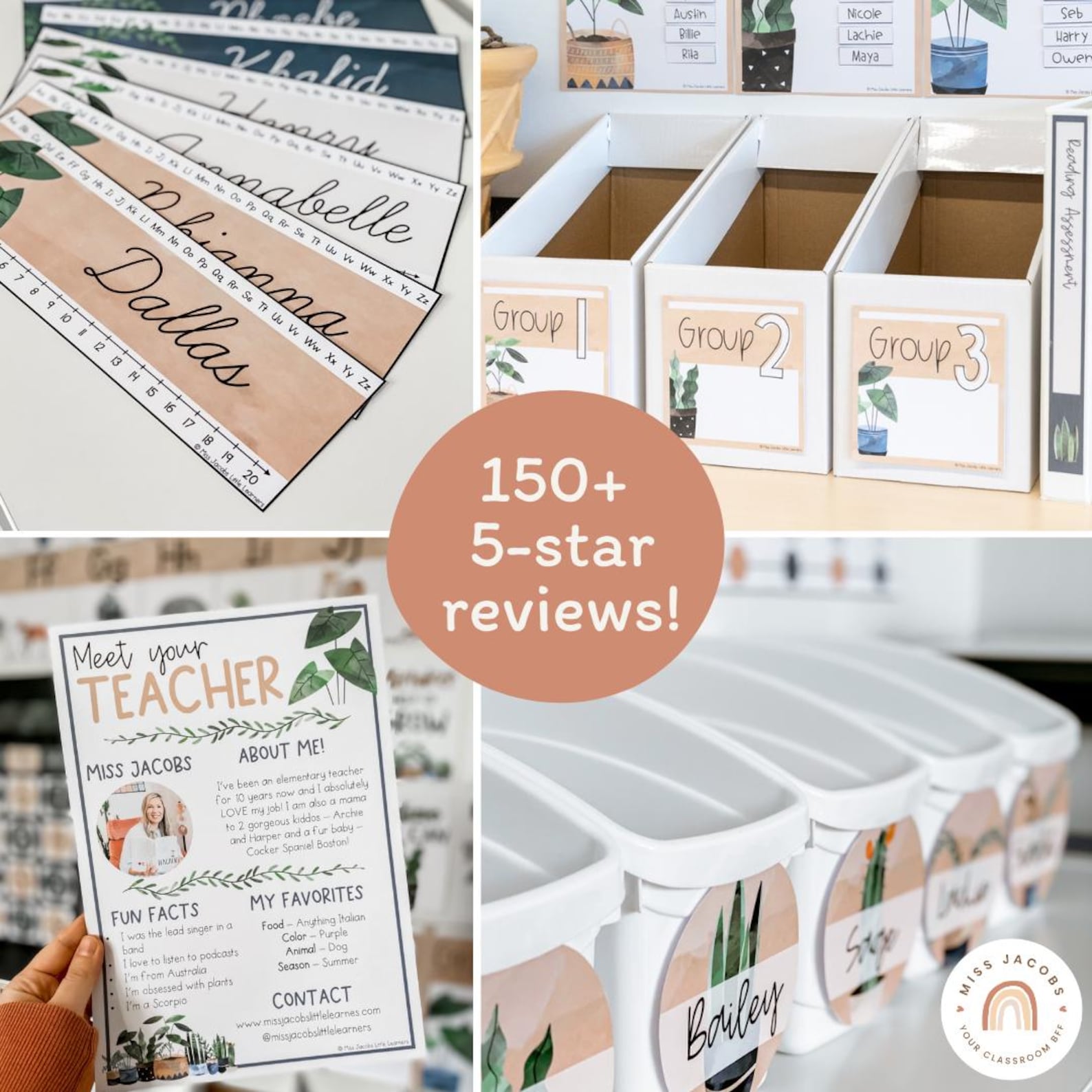 Boho Plants Classroom Decor Bundle | Rustic Modern Boho Decor ...