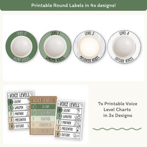 Voice Levels Chart Modern Botanical, Editable Voice Level Posters ...