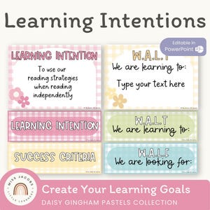 Learning Intentions & Success Criteria Posters | WALT and WALF | Daisy Gingham Pastels
