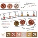 BOHO VIBES Classroom Number Line Display With Negatives | Desert ...