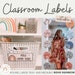 BOHO RAINBOW Classroom Labels Bundle | Editable | Neutral Rainbow Classroom Decor 