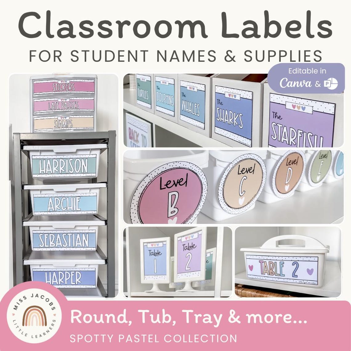 Classroom Labels | SPOTTY PASTELS Classroom Decor | Editable - Etsy