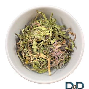 Diente De Leon Bio (pissenlit commun) ~ Taraxacum officinale herbes mexicaines