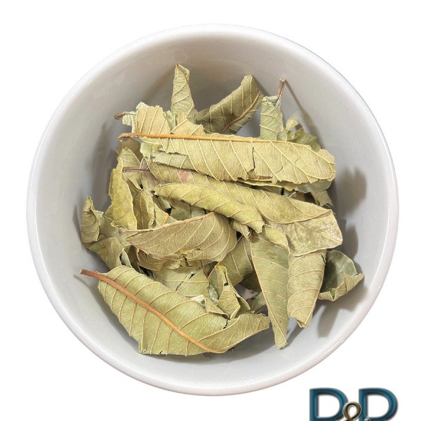 Hoja de Guayaba biologique (feuilles de goyave) herbes de la forêt tropicale péruvienne