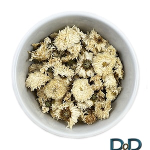 Fresh Organic White Chrysanthemum Whole Flowers Herb ( Ju Hua, Herbal, Mums, Fresh Dried