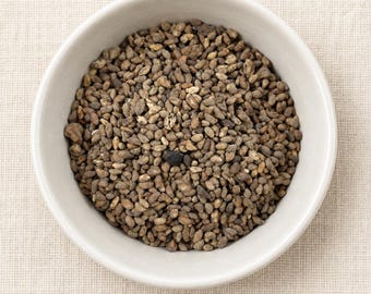 Voacanga Africana Whole Seeds | Dried African Botanical Seeds | Ghana Grown