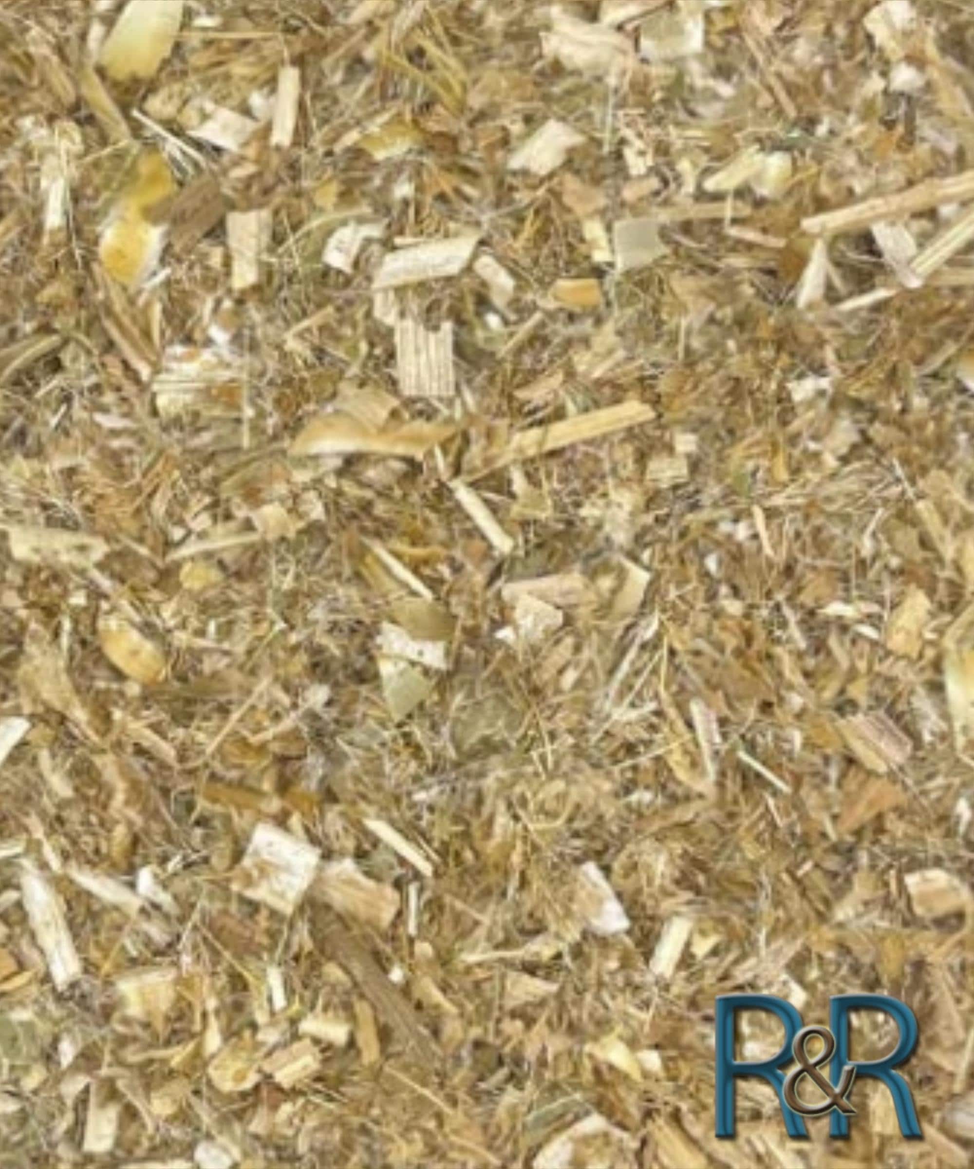 Brigham Tea Herb | Mormon Young Viridis | Cut & Sifted Wild Herb - Etsy