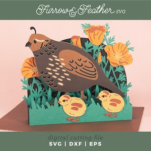 Quail & Chicks Card | 3D Father's Day Pop Up Card SVG | 3D Papercut SVG Card Cut File | Cricut Silhouette DIY