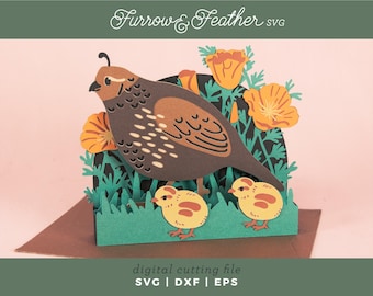 Mother's Day Card SVG: Quail & Chicks Pop-Up Card SVG - 3D Papercut Design (Digital Download)