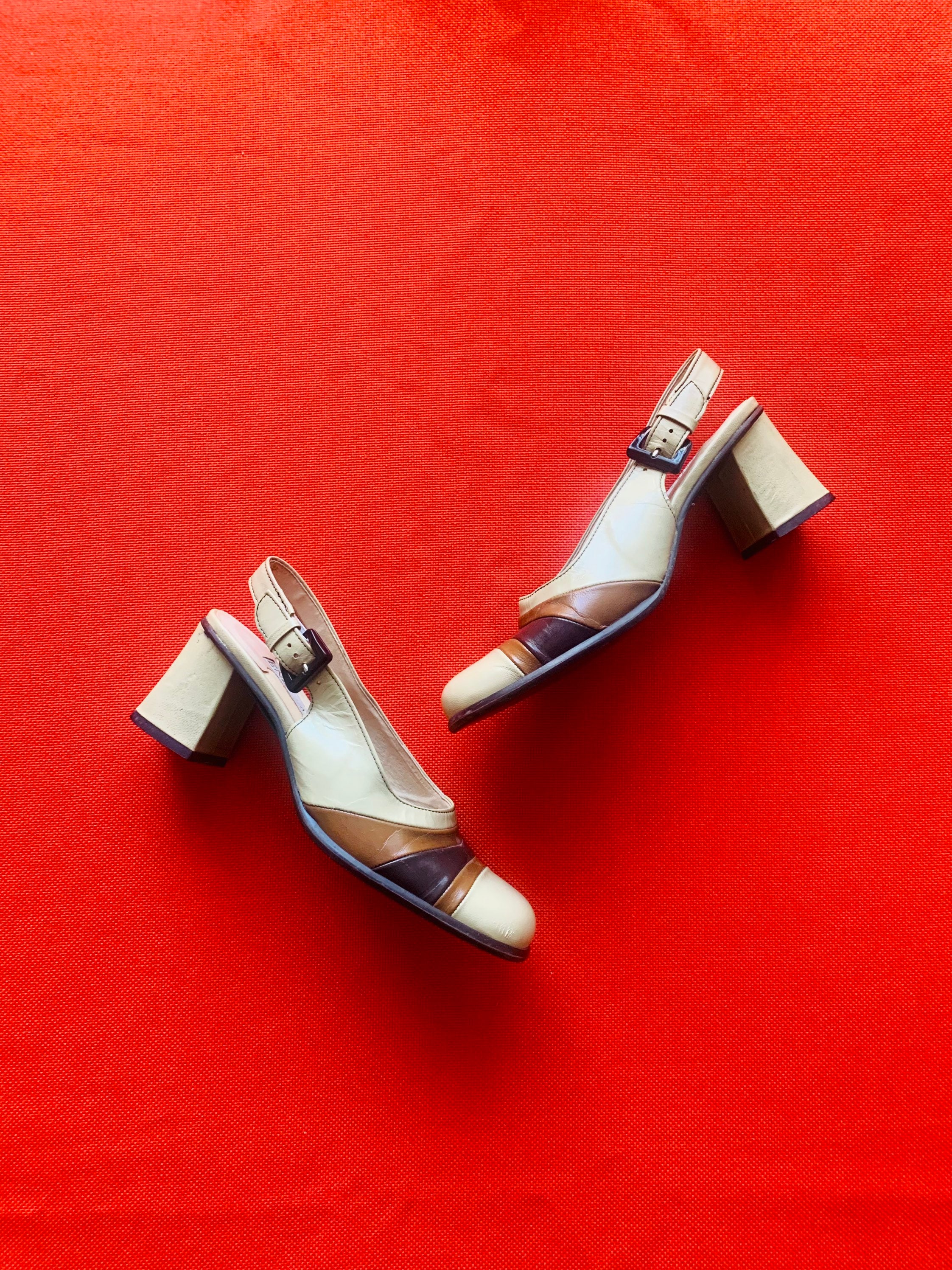 Enzo sales angiolini designer