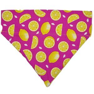 Custom Dog Bandana and Cat Bandana - &quot;Summer Lemonade 2&quot; - Slide on Over the Collar Bandana for Dogs and Cats