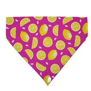 Benutzerdefinierte Hundehalstuch und Katzenhalstuch - &quot;Summer Lemonade&quot; - Sommer Slide on Über das Halsband Bandana für Hunde und Katzen