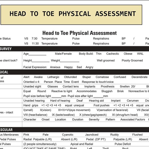 Head to Toe Assessment Nursing Template Head to Toe - Etsy