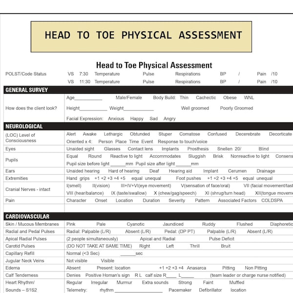 Head to Toe Assessment Template Etsy
