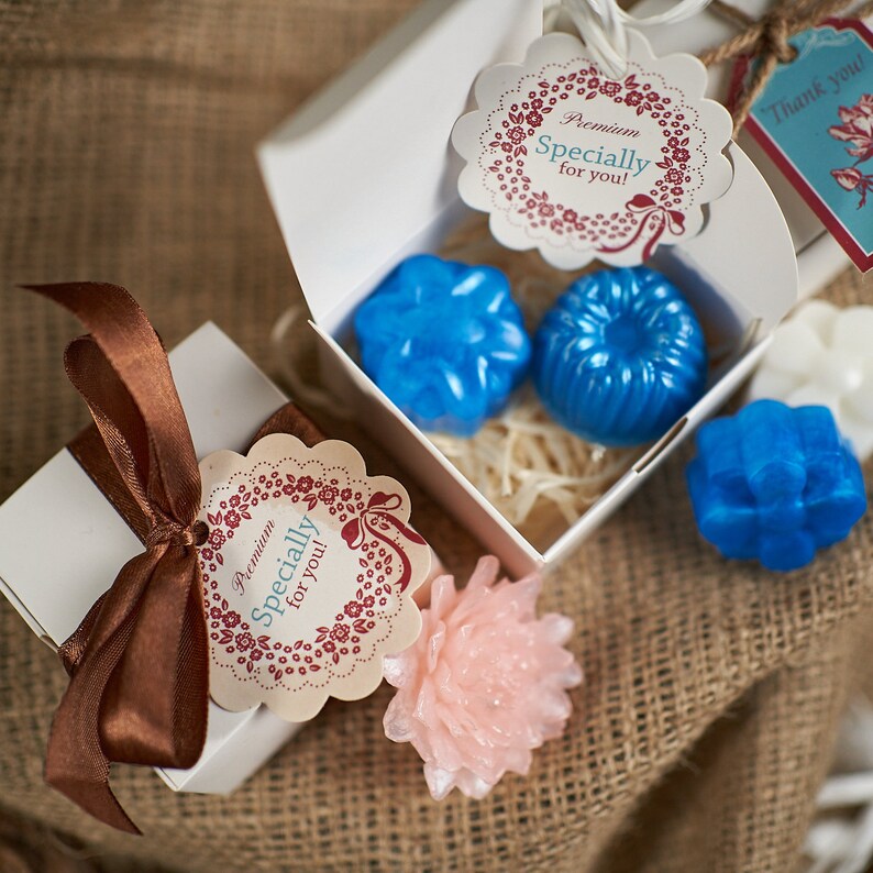 Soap Making Kit, Melt and Pour Soap Kit, Make Your Own Soap Kit, DIY