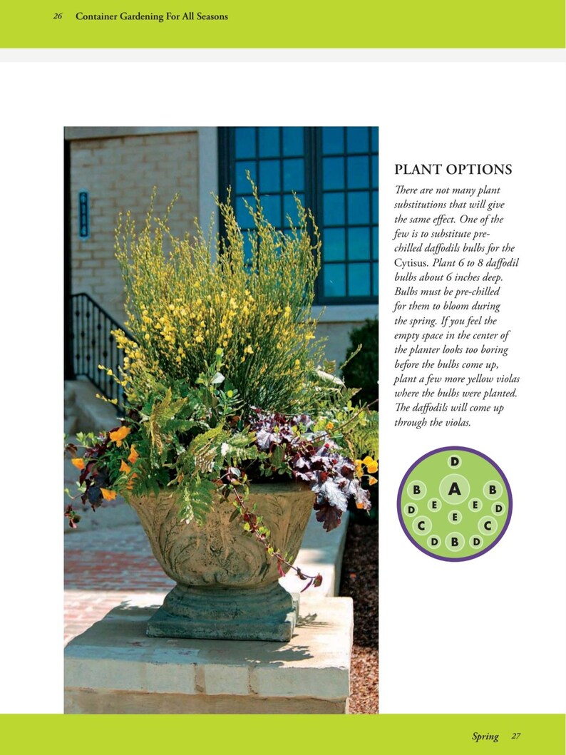 Container Gardening for All Seasons - Etsy