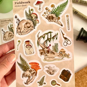 May include: A sticker sheet with a beige background featuring illustrations of animal skulls, mushrooms, ferns, and other botanical elements. The text "Fieldwork sticker sheet" is printed on the sheet. The stickers have a vintage, nature-inspired aesthetic.