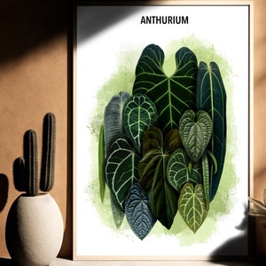Stampa murale di piante d'appartamento Anthurium / Stampa di piante esotiche / Stampa murale di piante d'appartamento rare Aroid / Illustrazione di piante per il soggiorno / Arte per gli amanti delle piante