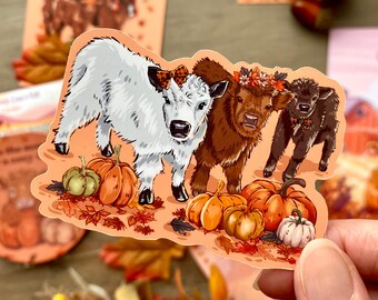 Pegatina de vaca bebé de las Highlands y campo de calabazas en otoño / Vacas de otoño / Adhesivo para portátil con vacas de granja de calabazas / Colección de otoño 2025: Vacas de las Highlands
