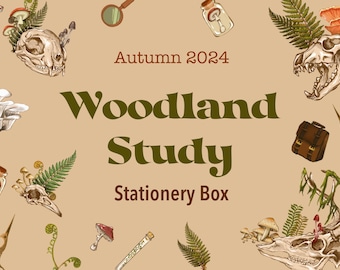 Caja de material escolar Woodland Study Otoño 2024 / Paquete misterioso de temporada / Paquete sorpresa trimestral de arte / Set de regalo de material escolar / Artículos académicos