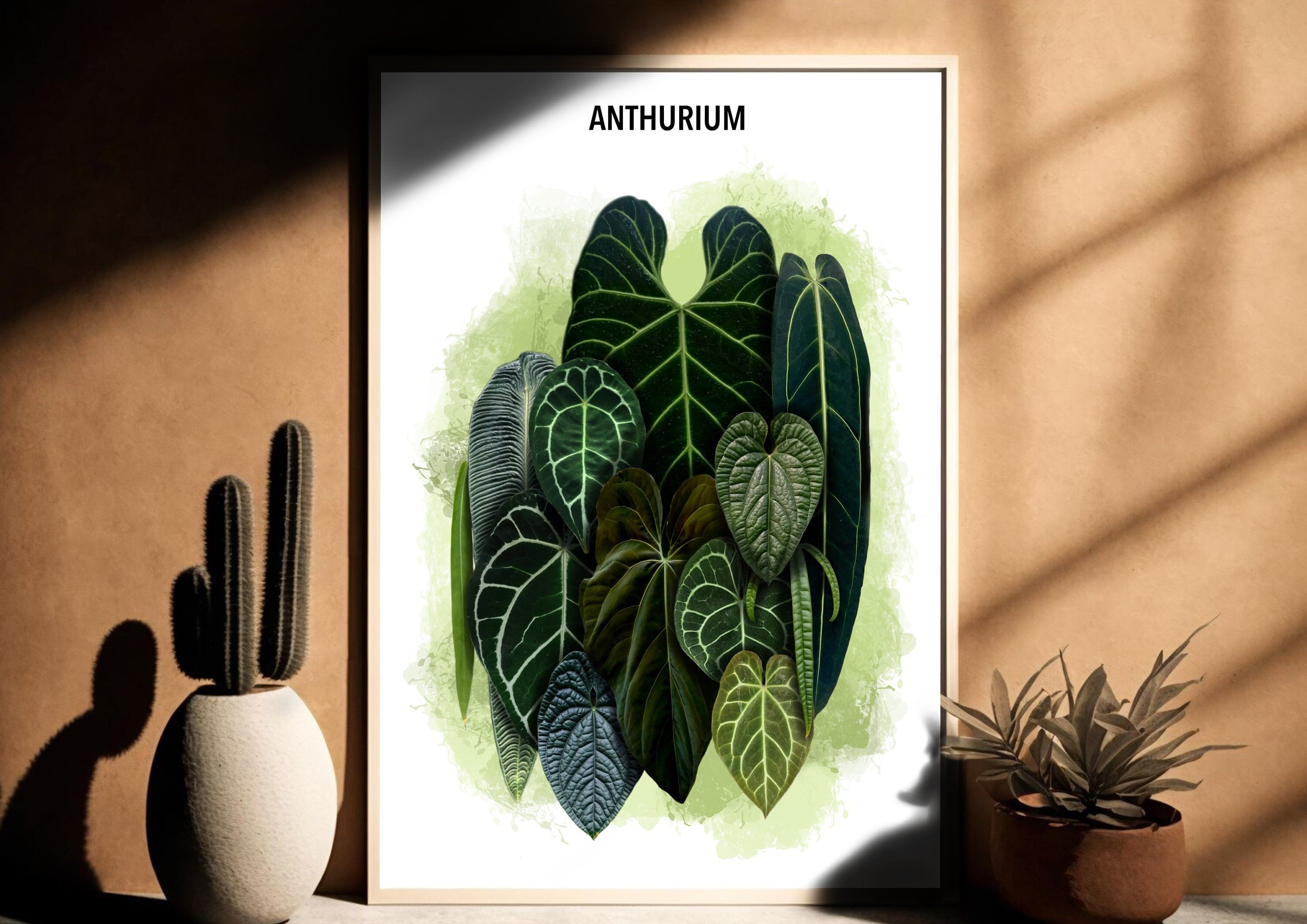 achat philodendron Philodendron Goeldii (Thaumatophyllum Spruceanum) main image 0
