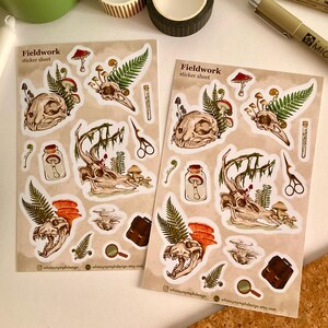 May include: Two sticker sheets with a beige background, featuring illustrations of animal skulls, mushrooms, ferns, and other botanical elements. The text "Fieldwork sticker sheet" is printed on each sheet. The stickers have a vintage, nature-inspired aesthetic.