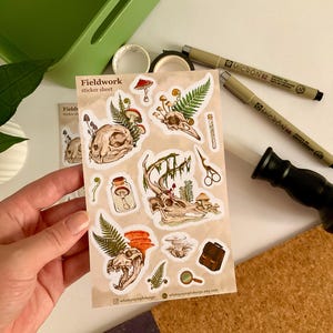 May include: A sticker sheet with the text "Fieldwork" featuring illustrations of skulls, mushrooms, ferns, and other botanical elements. The stickers are in shades of brown, green, and beige. Two Micron pens, a black stamp, and washi tape are also visible.