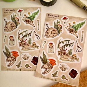 May include: Two sticker sheets with a Fieldwork theme. Each sheet features illustrations of animal skulls, mushrooms, ferns, and other botanical elements. The stickers have a vintage aesthetic with a neutral color palette and the text "Fieldwork sticker sheet".