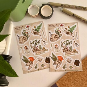 May include: Two sticker sheets with a nature-themed design featuring skulls, mushrooms, and ferns. The stickers are tan with illustrations in shades of brown, green, and orange. The text "Fieldwork sticker sheet" is printed on the top left corner.