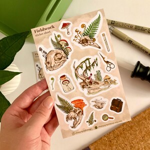 May include: A sticker sheet labeled "Fieldwork" featuring illustrations of animal skulls, mushrooms, ferns, and other botanical elements. The stickers are in a natural color palette with detailed line art. The sheet is held by a person's hand.