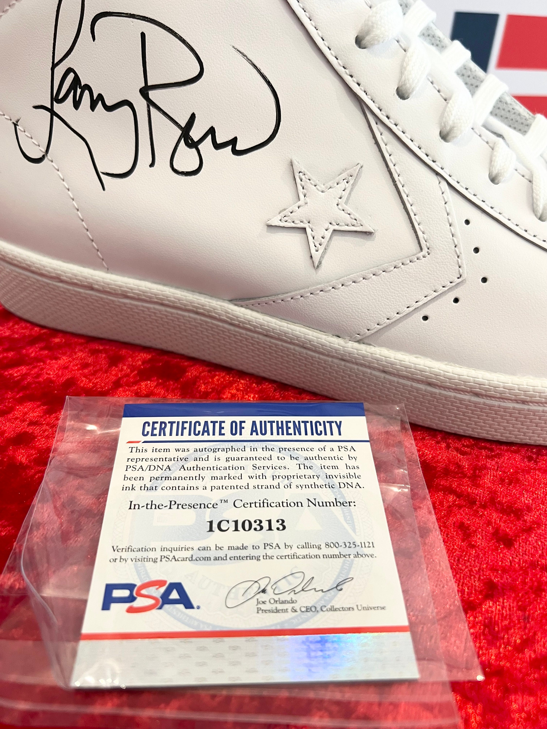 Larry Bird Signed Converse Shoe Psa Dna Boston Celtics Autographed