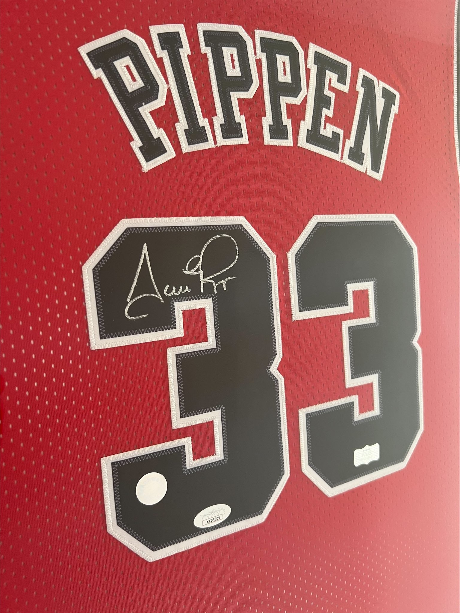 Scottie Pippen 03-04 筆記体 プロカットジャージ 直筆サイン scottie.pippen.bulls.psa.