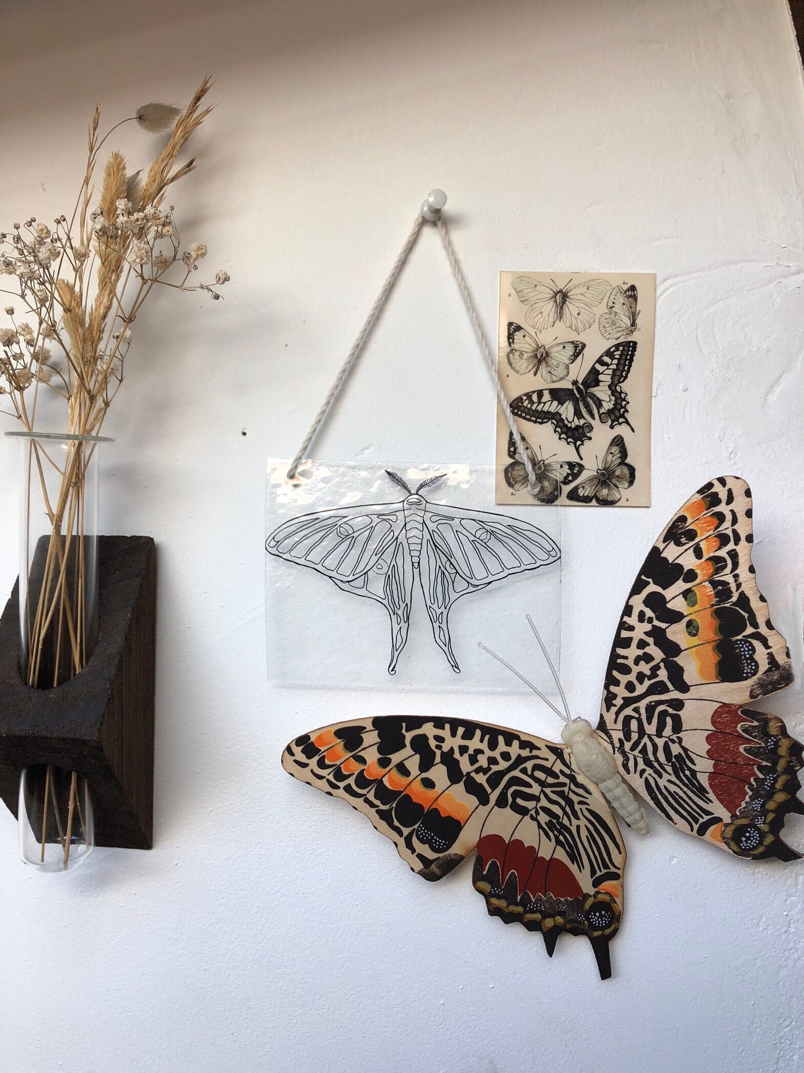 Décoration Murale Papillon Vitrail - Wall Decor Isabelle Moth