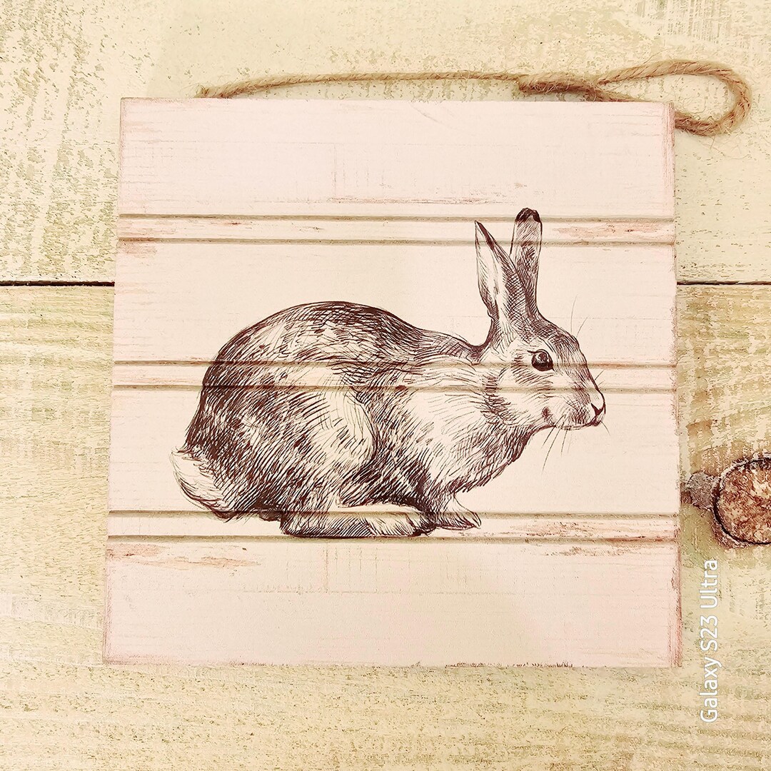 Wood Rabbit Symbol Hanging Wood Sign With Detailed Rabbit Picture - Etsy