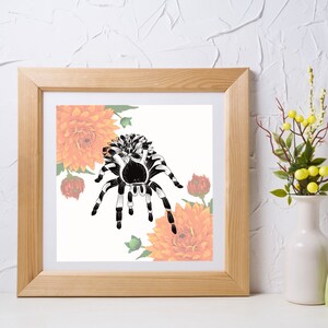 Descarga de impresión digital de Dahlia Spider